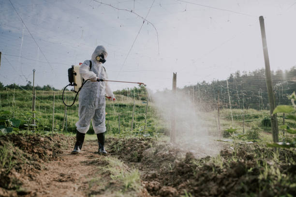 Best Ant Control Services  in Edgewood, KY