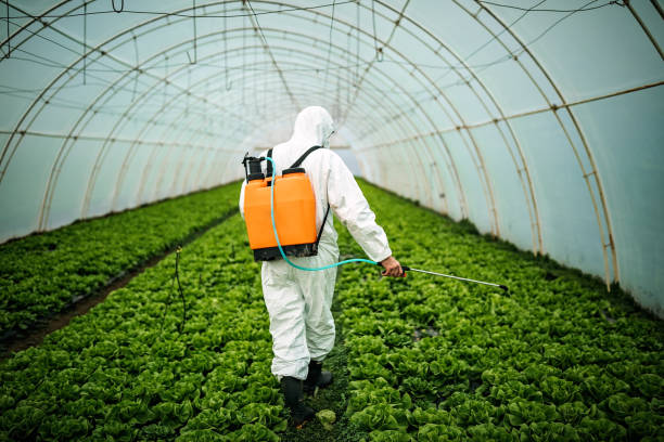 Best Best Pest Control Companies  in Edgewood, KY