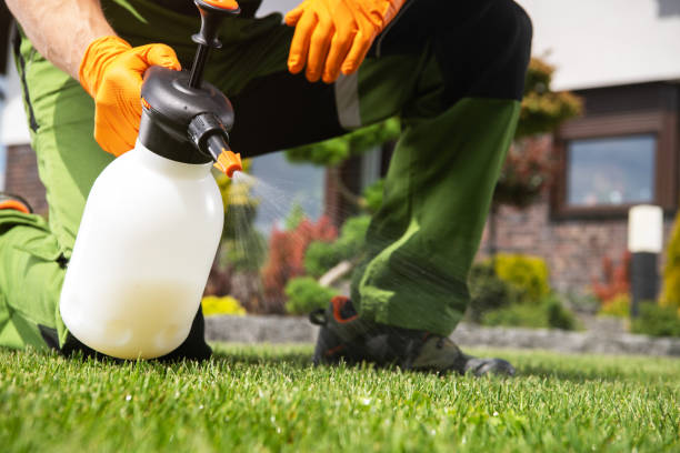 Best Pest Removal Services  in Edgewood, KY