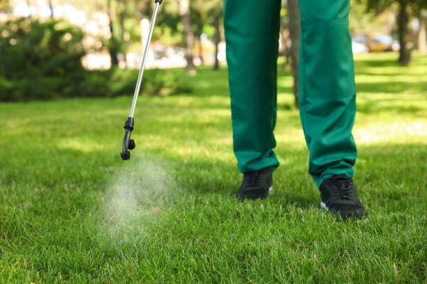 Best Best Pest Control Companies  in Edgewood, KY