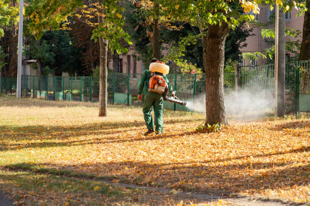 Best Insect Control  in Edgewood, KY